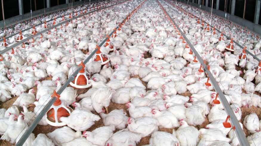 JEWM to produce organic fertilizers