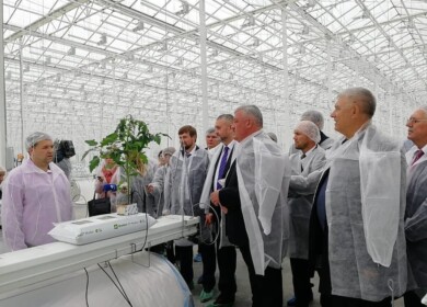 A large greenhouse complex launched in Komi