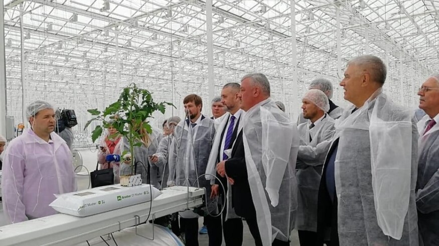 A large greenhouse complex launched in Komi