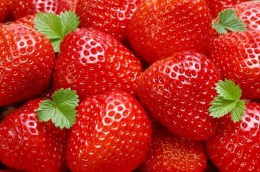 JGC Evergreen to grow strawberries in the Khabarovsk Krai