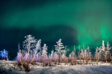 An agricultural boom is projected in the north of Krasnoyarsk Krai