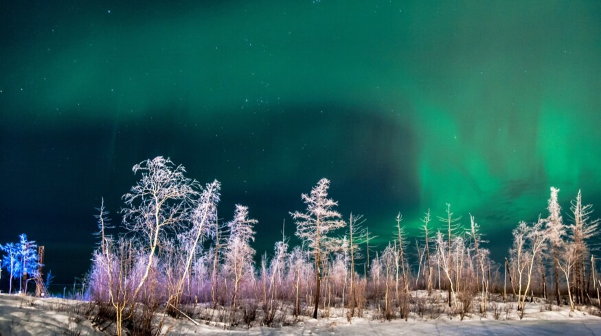 An agricultural boom is projected in the north of Krasnoyarsk Krai