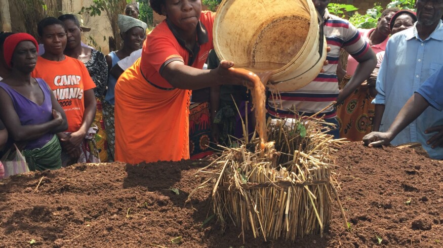 Zimbabwe is nearing collapse