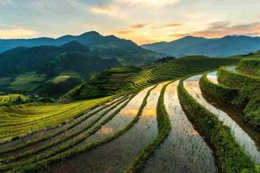 Vietnam extends safeguard actions on imports of phosphorus fertilizers
