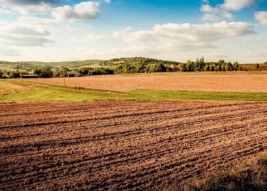 Udmurtia completes sowing of spring crops