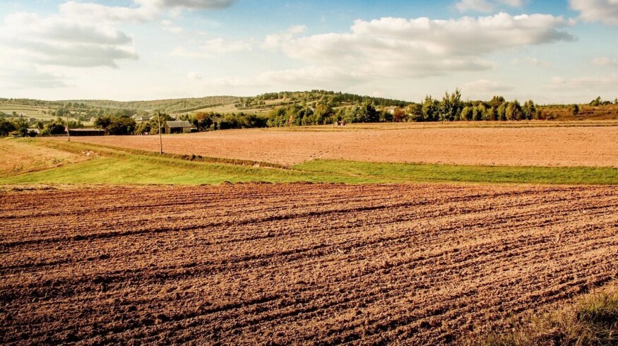 Udmurtia completes sowing of spring crops