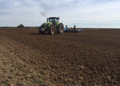 Sowing went smoothly in the Moscow region