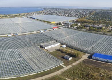 Churilovo may go bankrupt due to tax debts