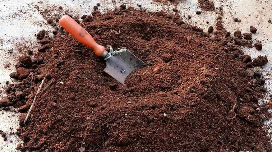 Peat extraction resumed in the Tambov region