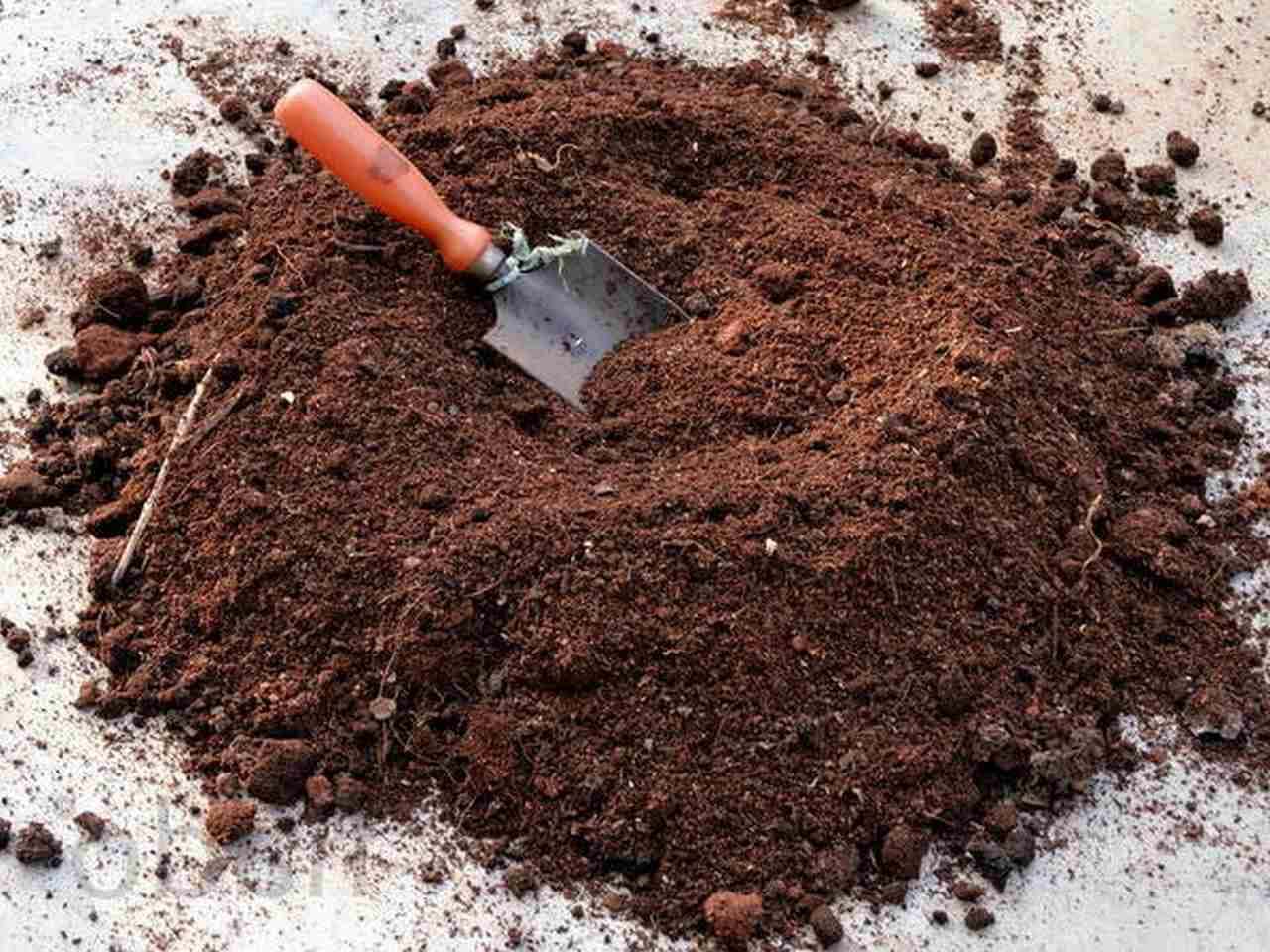 Peat extraction resumed in the Tambov region