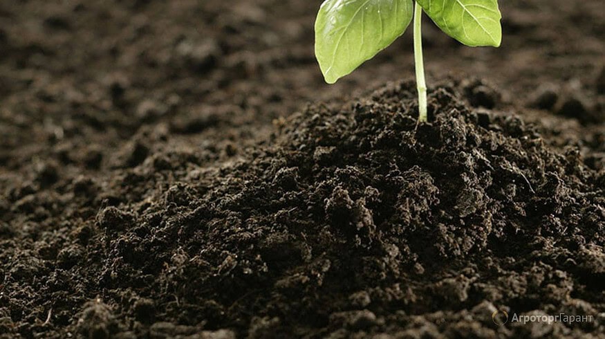 New sapropel fertilizers production to be launched in the Novgorod region