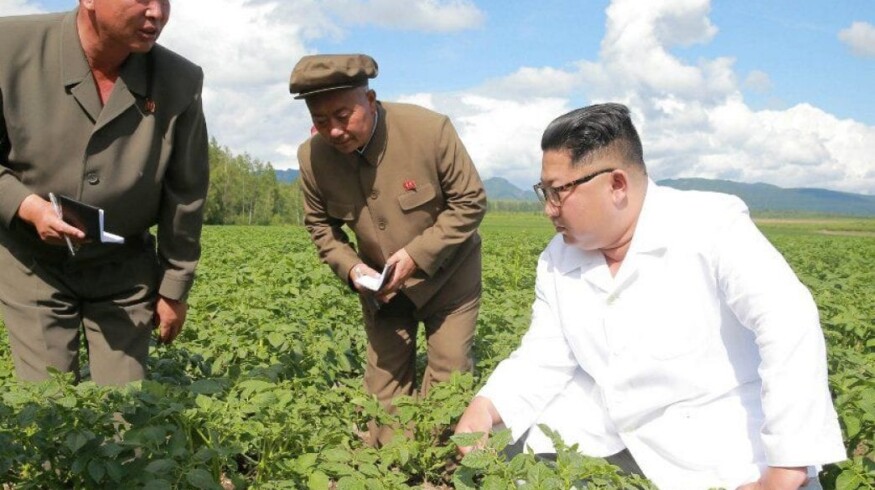 China restarted supplying agrochemicals to North Korea