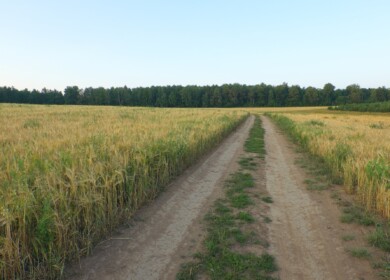 PhosAgro-Region will launch a new distribution center in Tatarstan