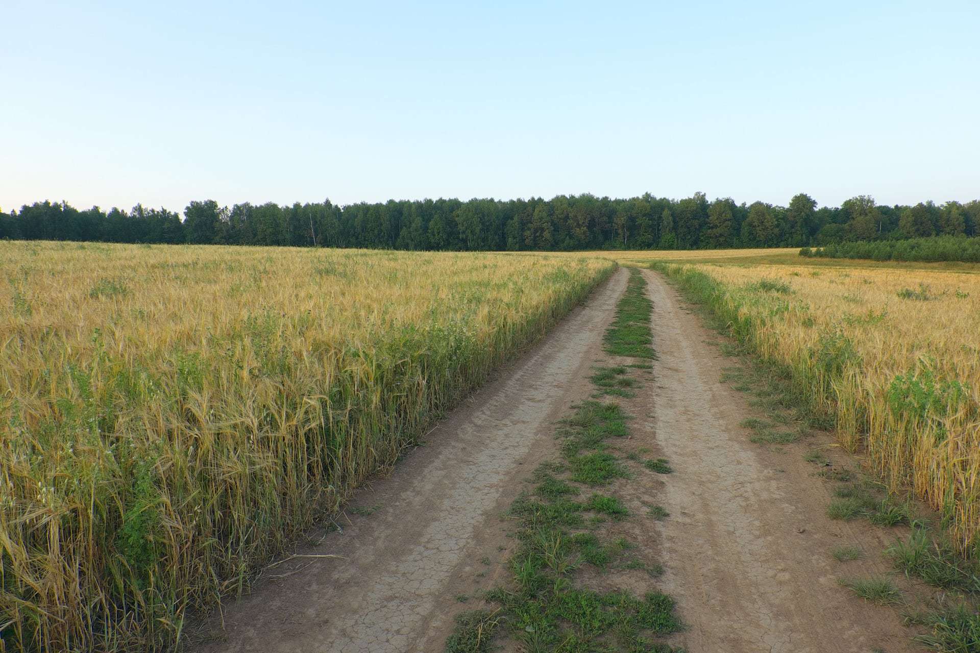 PhosAgro-Region will launch a new distribution center in Tatarstan