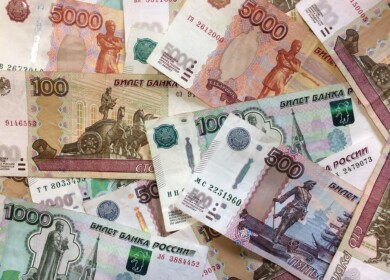 The farmers of the Novosibirsk region will receive financial support