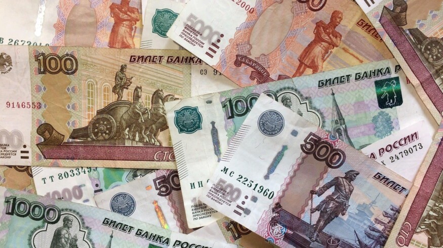The farmers of the Novosibirsk region will receive financial support