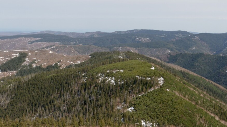 A green ammonia production center may appear in the Far East