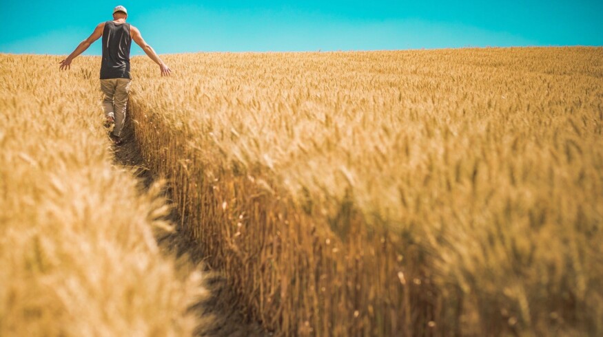 95 million tons of grain were harvested in Russia