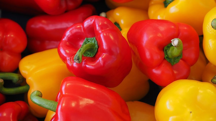 Third greenhouse complex may be created in Komi region