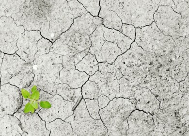 Yara predicts severe hunger