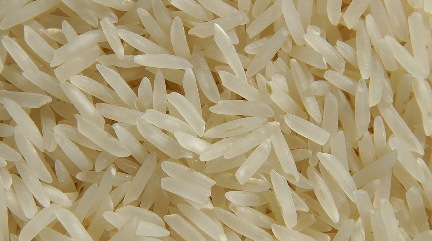 Rice crops in Crimea will be expanded