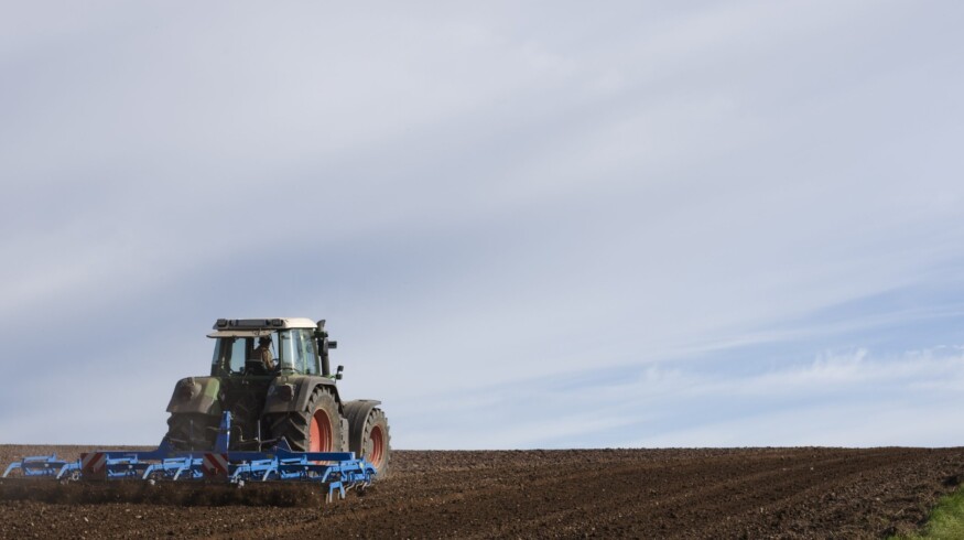 Autumn sowing campaign began in the Voronezh region