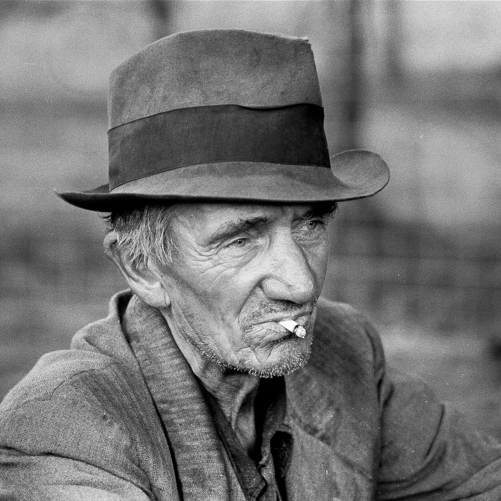 European farmers may face fertilizer shortages