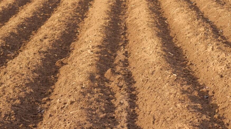 Farmers of the Kaliningrad region expect fertilizer prices increase