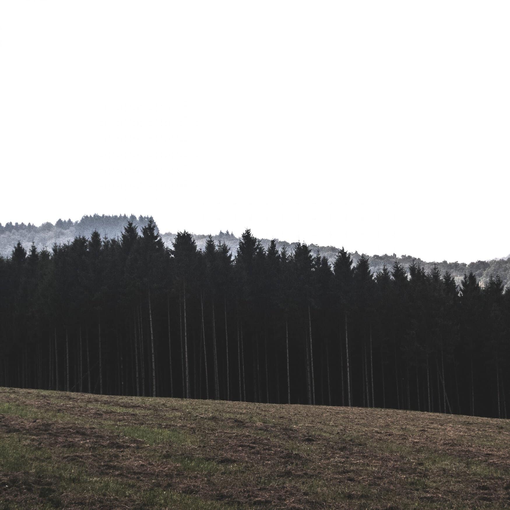 Soil fertility is declining in the Far East