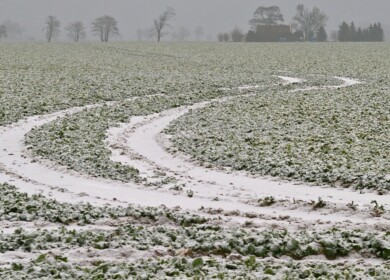 Farmers of the Volgograd region are preparing for spring sowing campaign