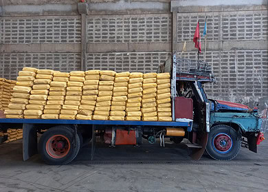 PhosAgro increased exports to developing countries