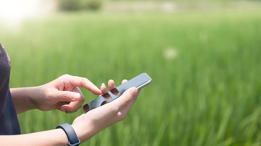 New mobile app will help to increase harvest by planning planting patterns