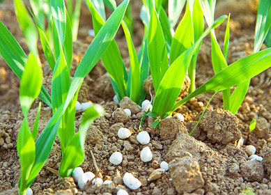 The RFPA President took part in the plenary session in Kazan