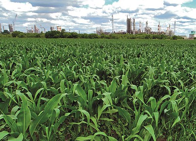 TogliattiAzot published its environmental report for 2022