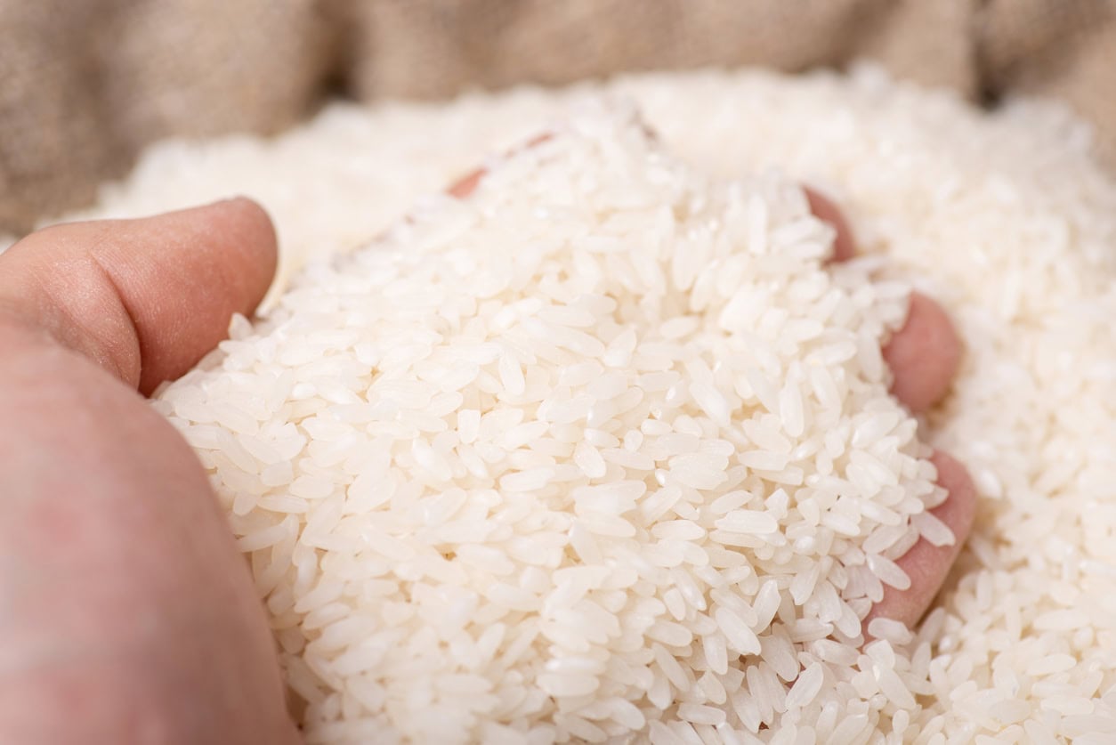 Russia temporarily banned the exports of rice