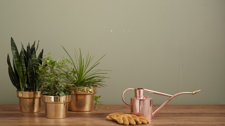 ‘Electroculture’ Gardening: A Trending Phenomenon Under Scrutiny