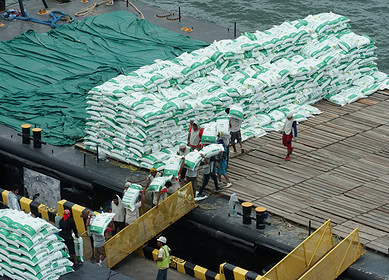 Russia Introduced 7% Export Duty on Mineral Fertilizers Effective From September 2023