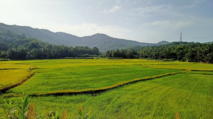 IFFCO opens nano DAP liquid factory in Kalol, Gujarat