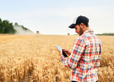 Central Valley Ag collaborates on Producer Connect app for fertilizer efficiency