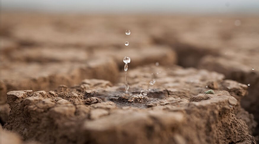 World Food Forum spotlights role of technology in soil and water management