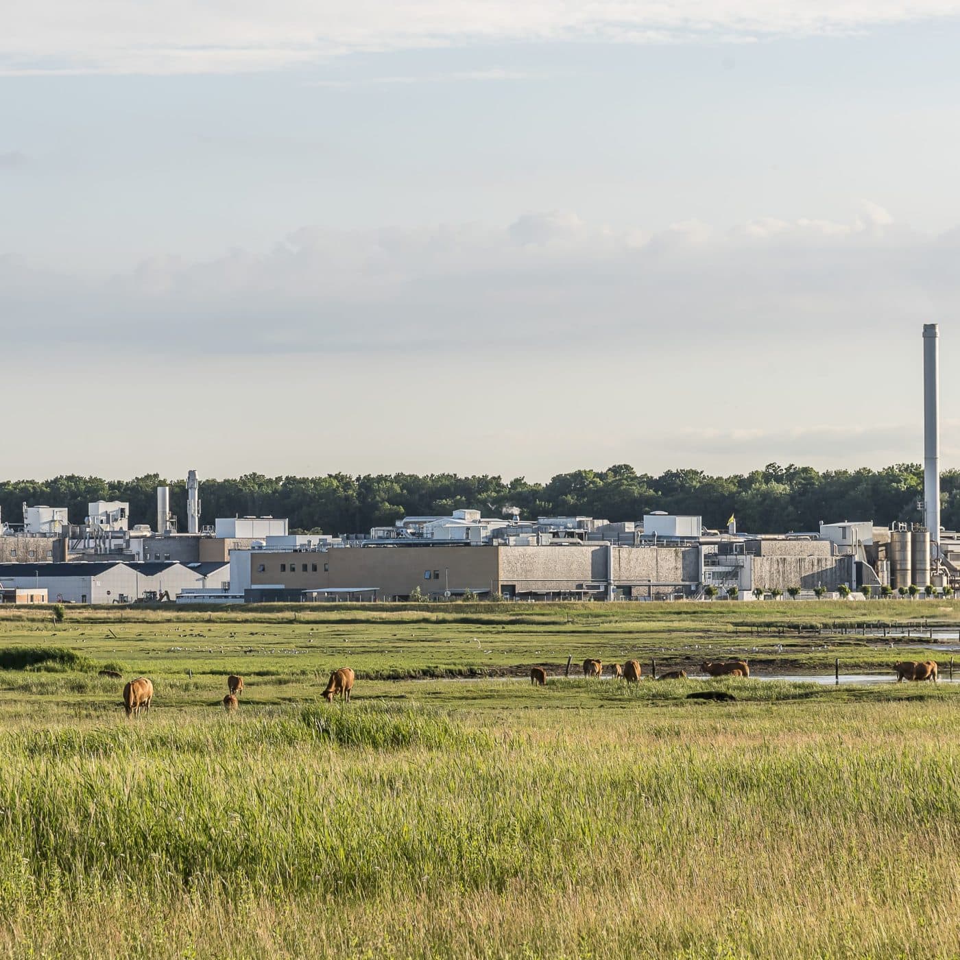 Topsoe to work with Standard Gas on UK-based renewable gas and methanol project