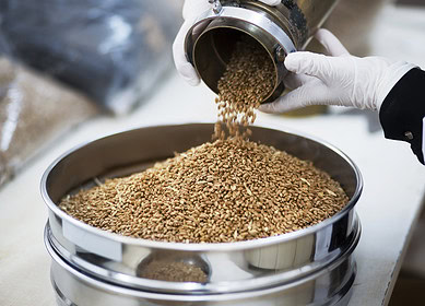 Southern Alberta scientist advocates for carbon tax exemption on farm grain drying