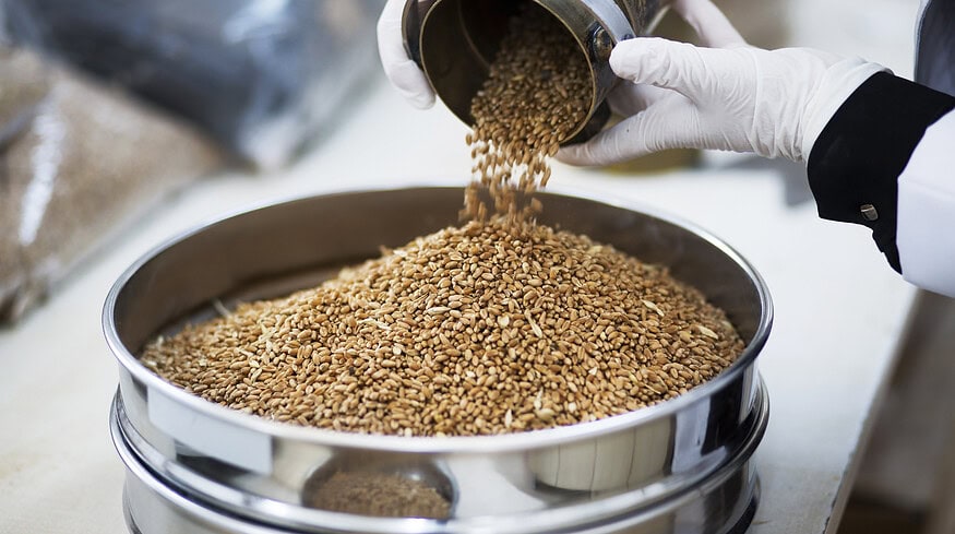 Southern Alberta scientist advocates for carbon tax exemption on farm grain drying