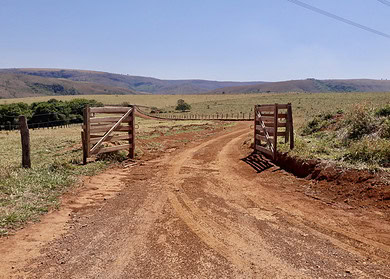 Verde Agritech reports net loss of US$2.53M amidst revenue growth in Q3 2023