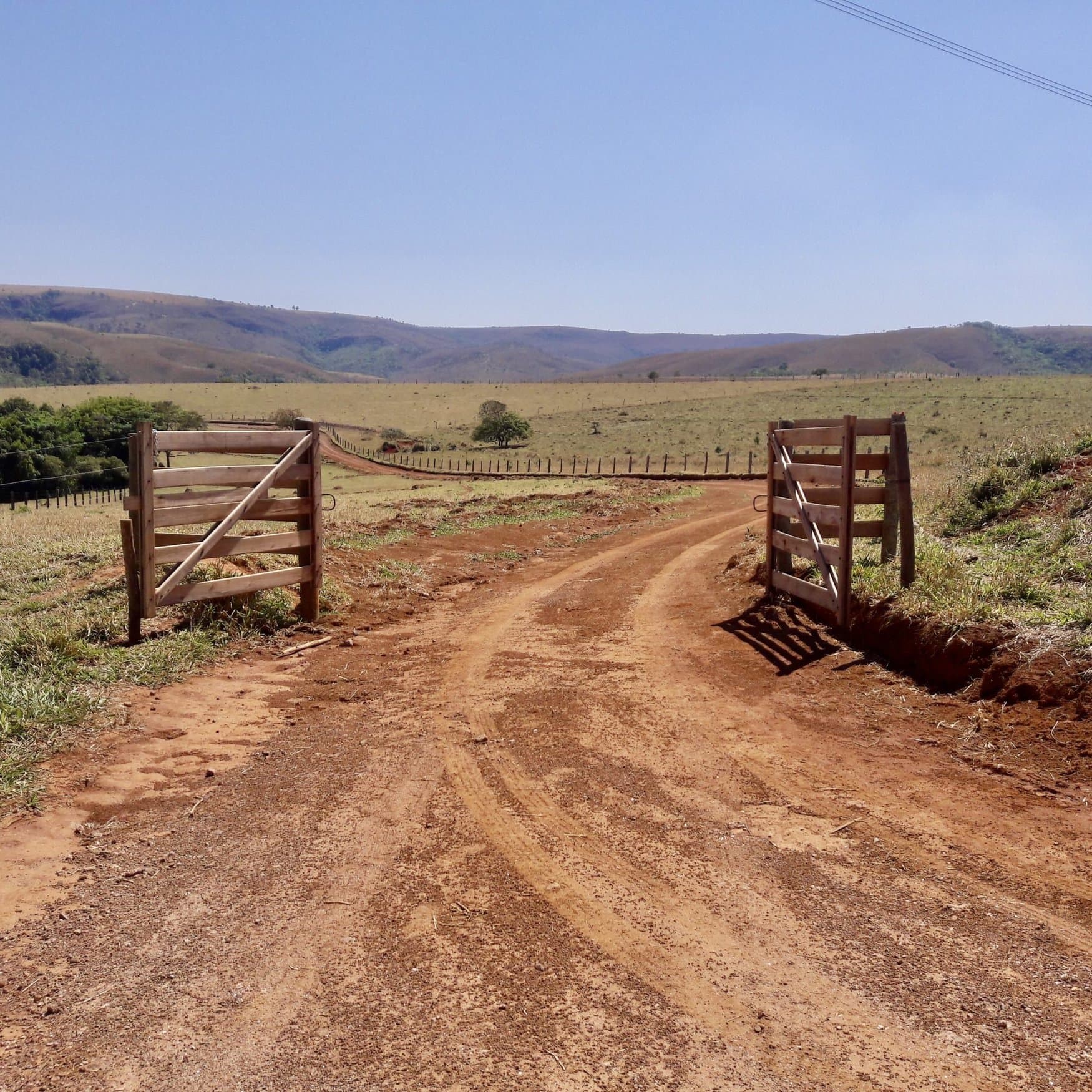 Verde Agritech reports net loss of US$2.53M amidst revenue growth in Q3 2023