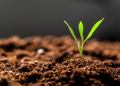 Bioceres Crop Solutions announces strong Q1 2024 financials