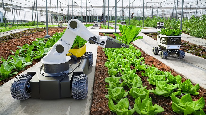 7 ways for innovative tech to transform modern agriculture