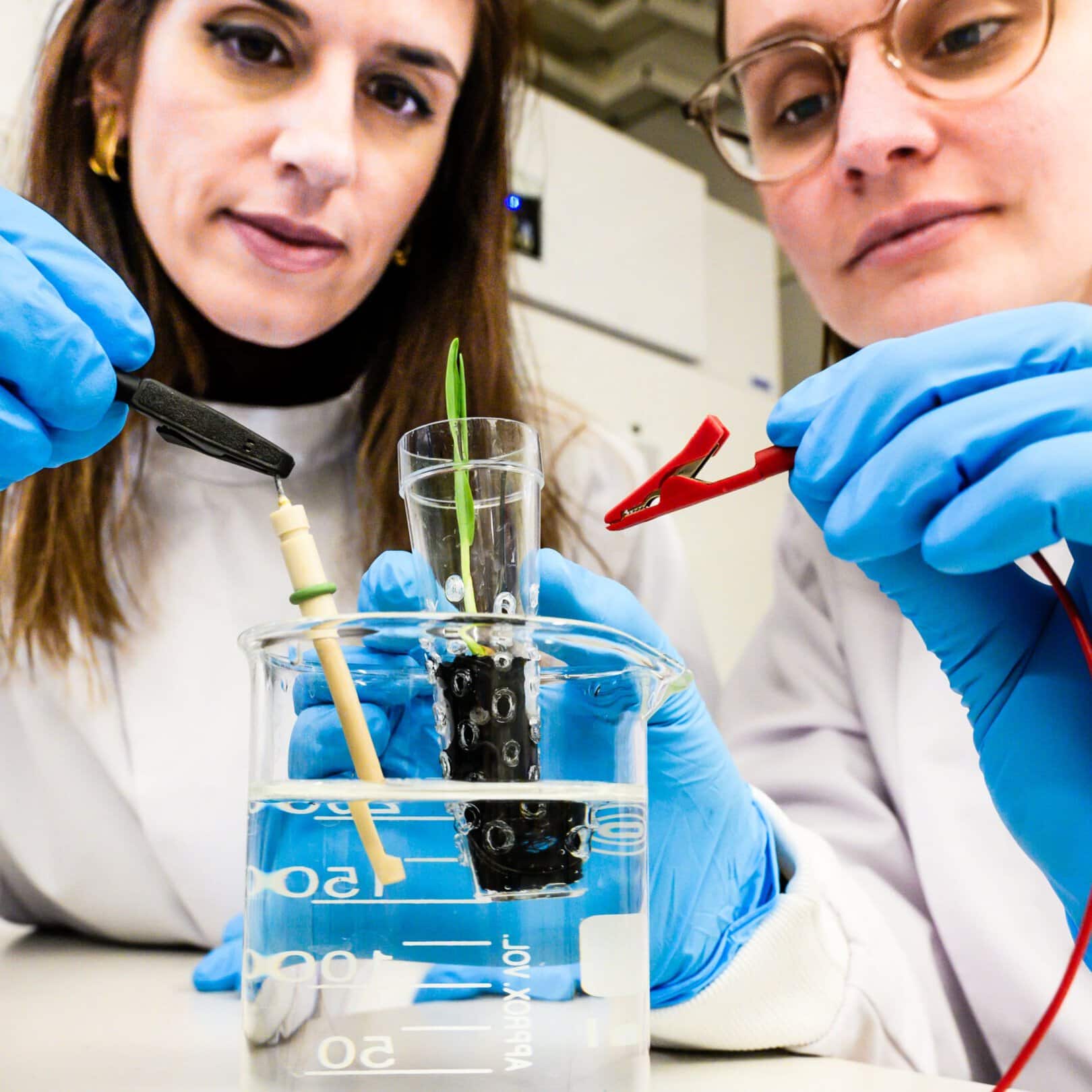 Scientists revolutionize plant growth through electrically conductive soil