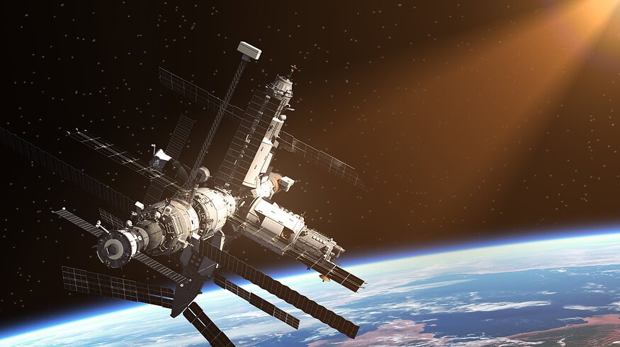 Cultivating a green frontier: plant growth in space’s unique environment