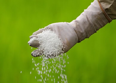 Cinis Fertilizer seeking to establish itself in Asia